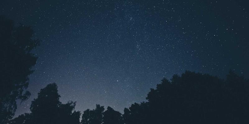 B2B企业如何通过CRM系统提升销售业绩：以市场分析与金东企业服务为例