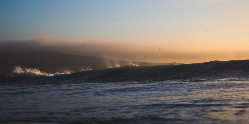 企业服务36:金东企业如何通过运营优化与战略规划实现可持续增长