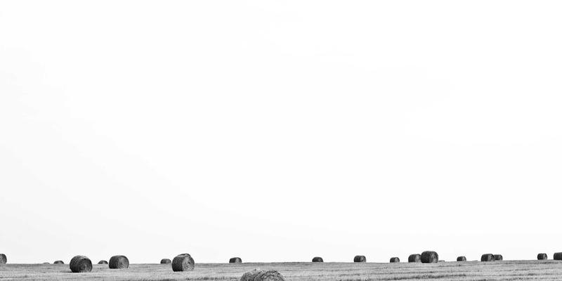 企业服务43：合规咨询、运营优化与战略规划三位一体，驱动企业稳健增长