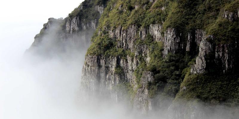 企业服务69：以战略规划、市场分析与合规咨询构筑增长铁三角