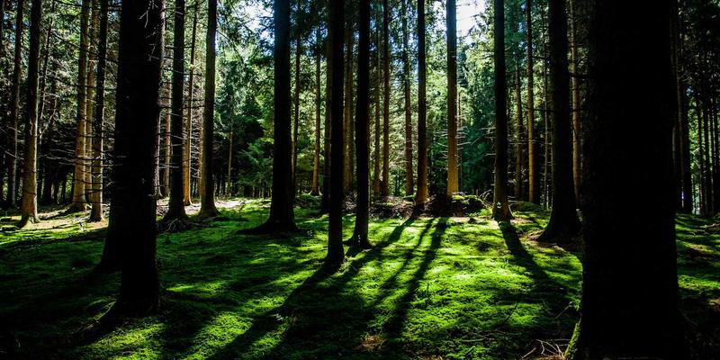 企业服务三大支柱：合规咨询、战略规划与财务顾问实战指南