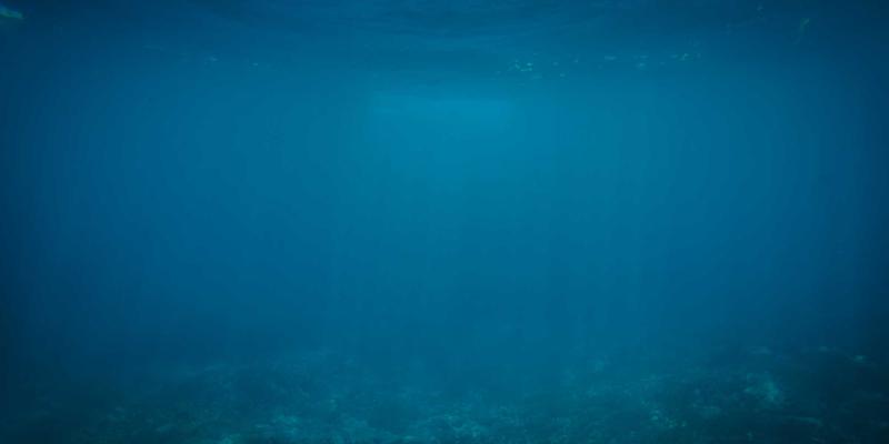 企业服务商的渠道管理与合作伙伴生态体系建设：基于市场分析与战略规划的深度洞察