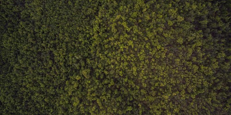 企业级API经济：以合规咨询与市场分析为基石，构建业务生态新范式