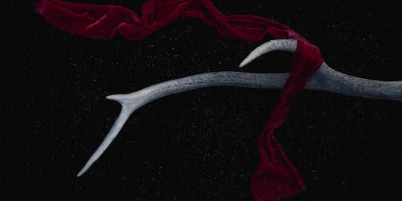 企业级SaaS选型指南：金东企业财务顾问的专业评估方法论