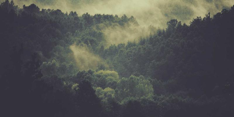 垂直行业SaaS战略规划与运营优化深度解析：以法律科技与地产科技为例