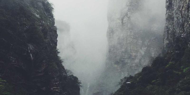 市场分析与战略规划：AI智能客服与知识库系统的财务顾问视角