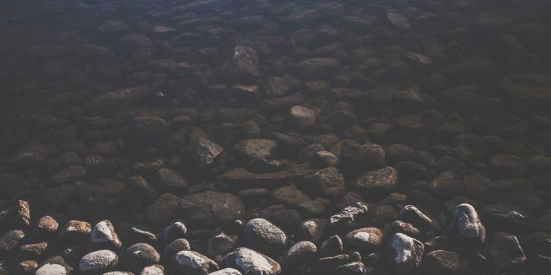 市场分析驱动下的企业服务新范式:财务顾问如何成为增长引擎