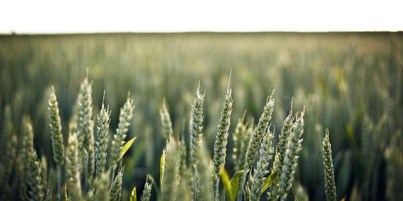 远程办公新常态：金东企业如何通过运营优化与市场分析构建高效安全协同网络