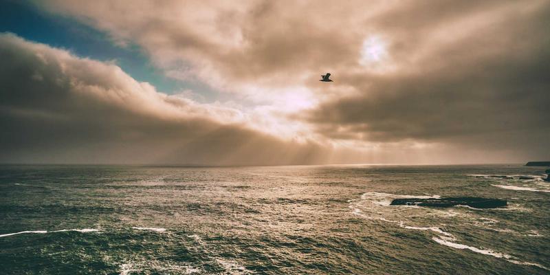 金东企业如何通过运营优化与市场分析实现增长突破