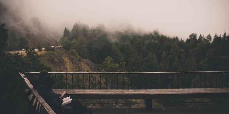 金东企业如何通过运营优化与市场分析实现服务应用新突破