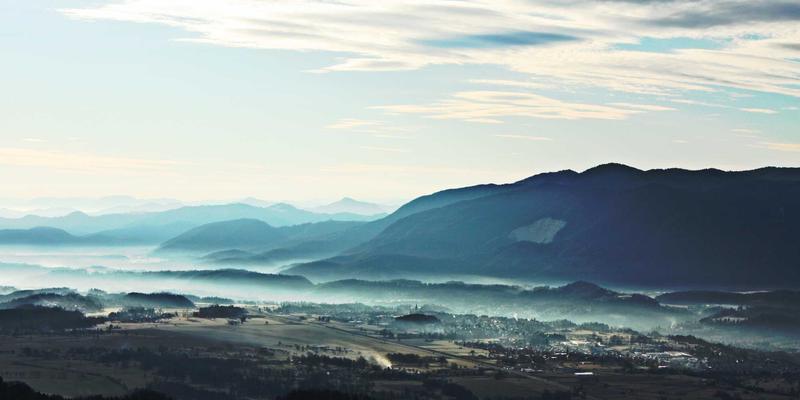 金东企业战略规划：如何通过精准企业服务实现可持续发展