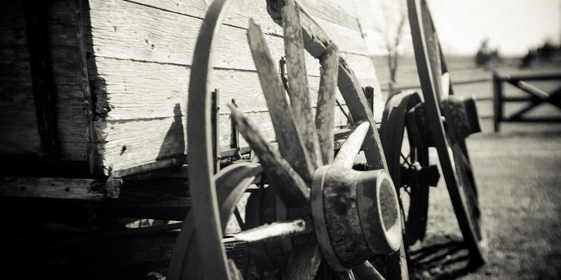 金东企业数据治理实战：从策略到落地的运营优化与财务顾问视角